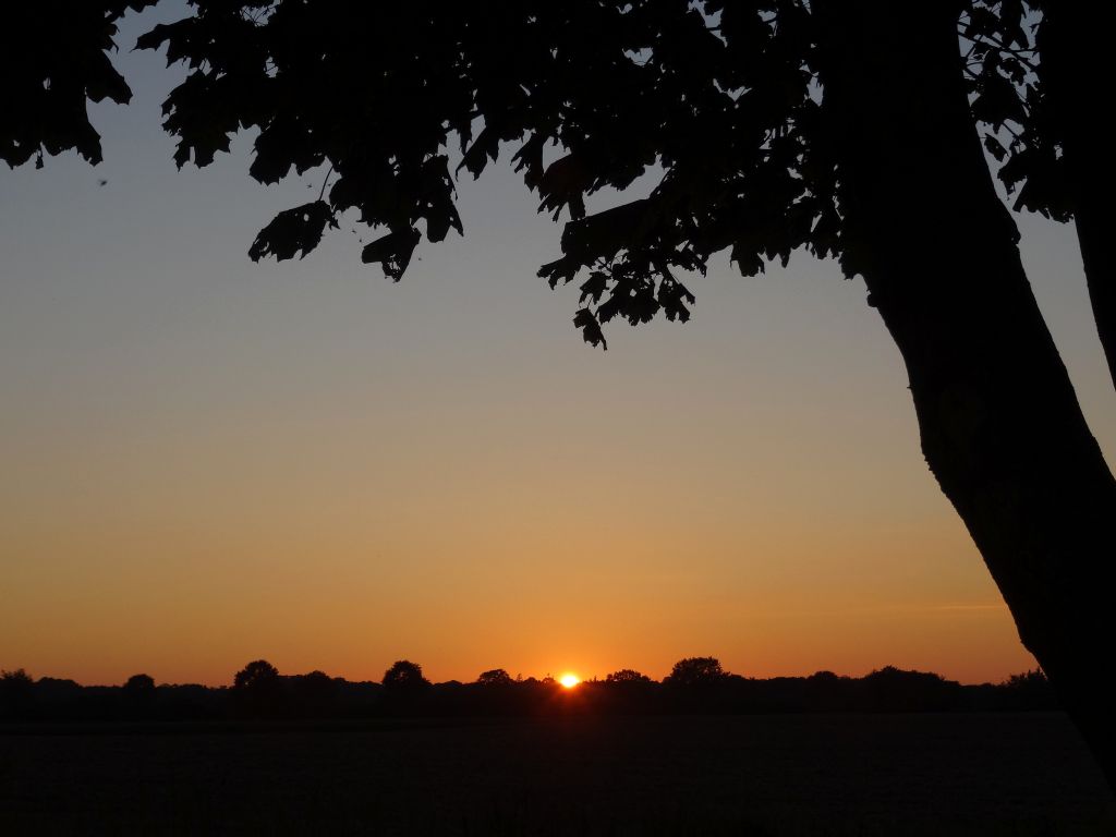 sunset_0180.jpg