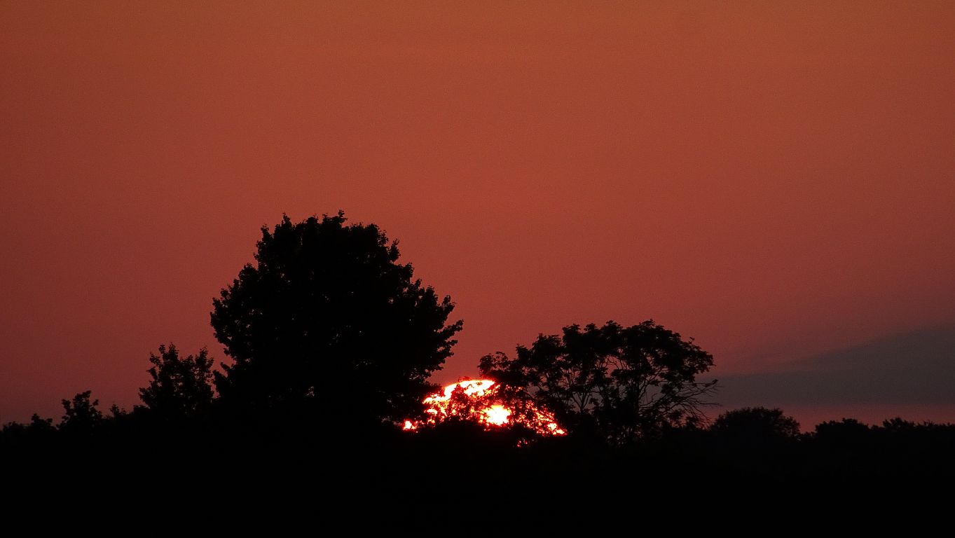sunset_0415.jpg