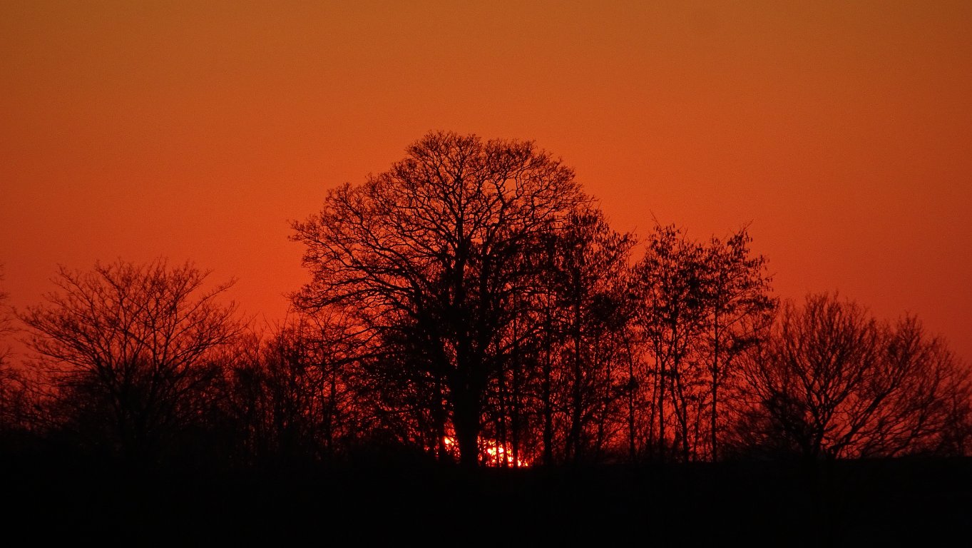 sunset_0446.jpg