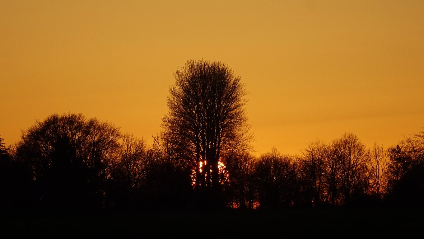 sunset_0463.jpg
