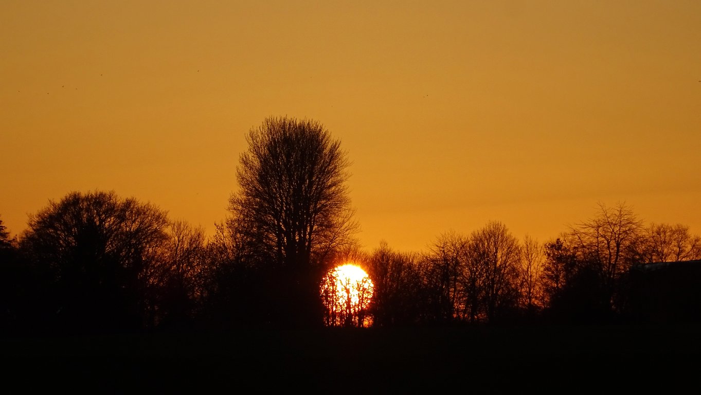 sunset_0464.jpg