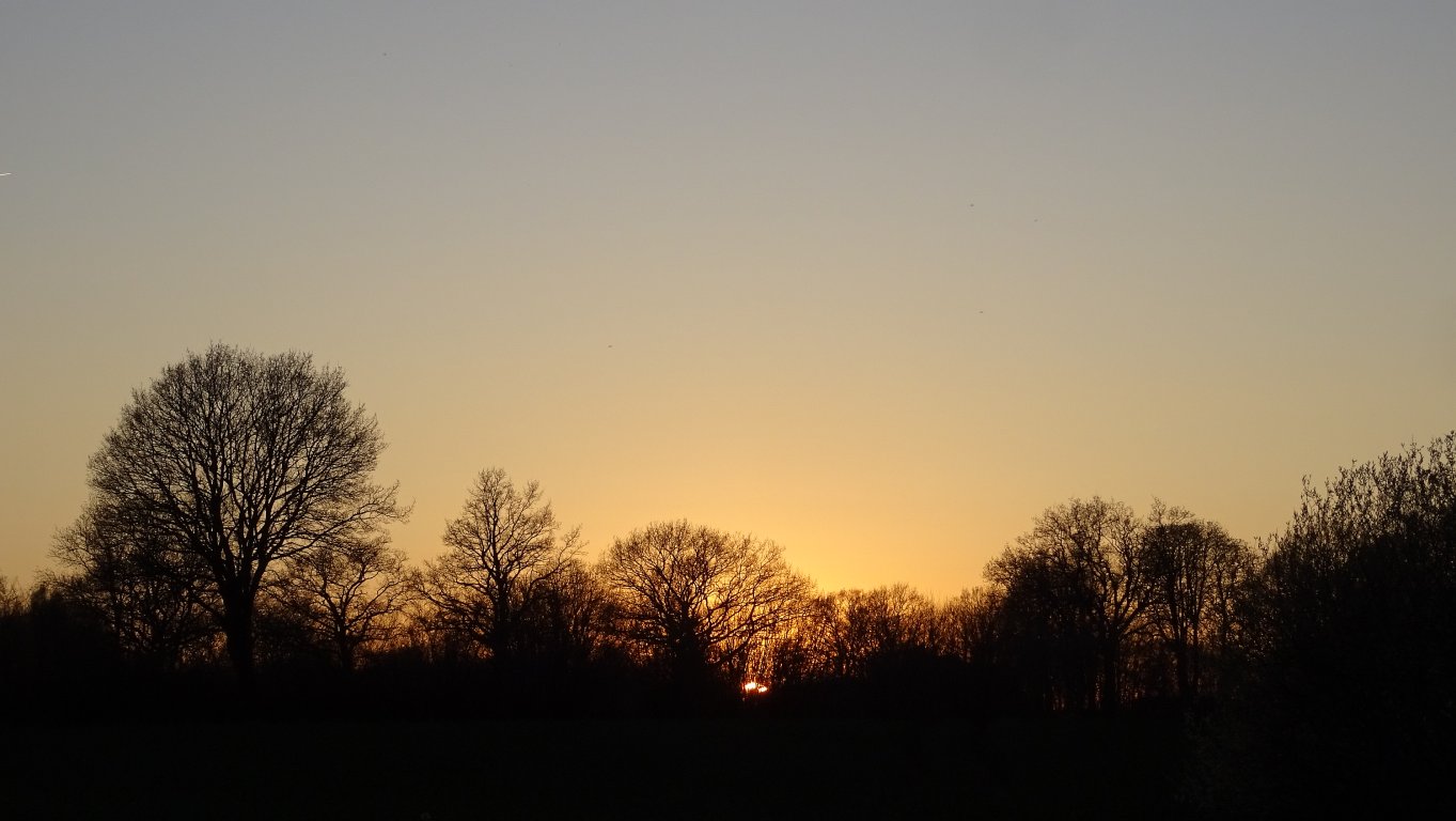 sunset_0541.jpg